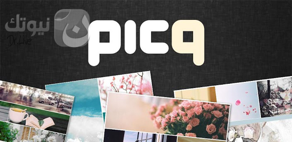 picq-header