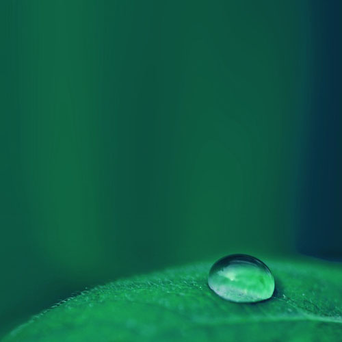 apple_wallpaper_water-leaf-nature_ipad_retina_preview