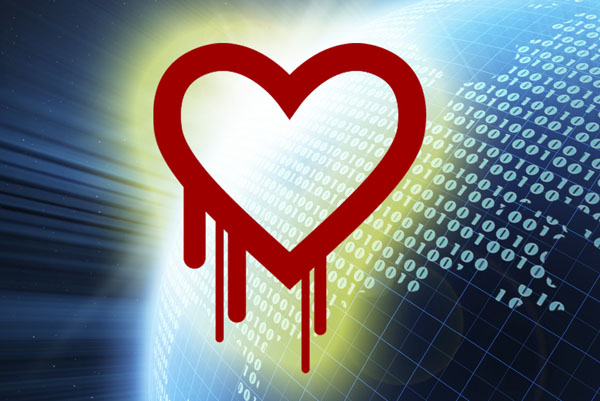 Heartbleed Bug