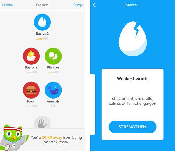 duolingo_iphone_6_screens