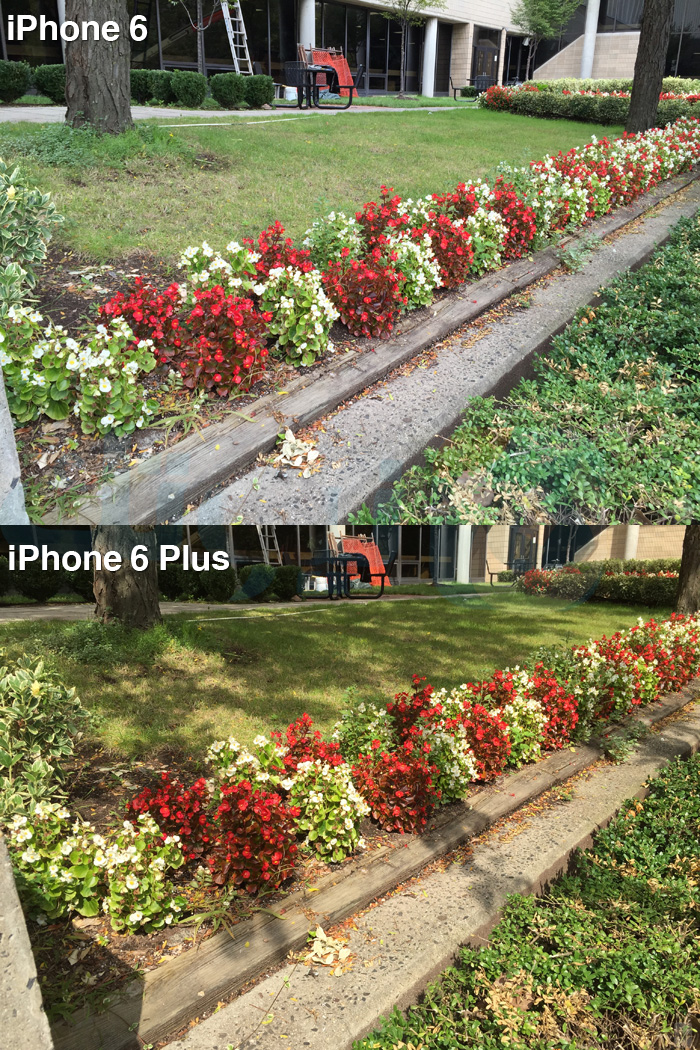 iPhone 6 and 6 Plus camera -1