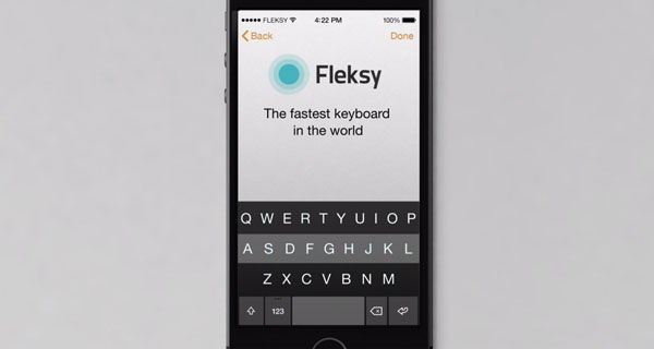 fleksy