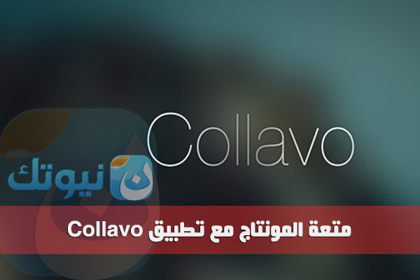 collavo