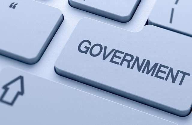 IT Government