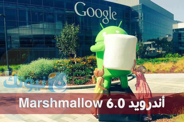 Marshmallow 6