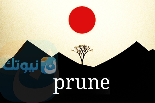 Prune11