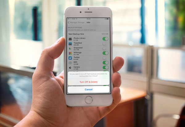 turn-off-delete-icloud-app-backup
