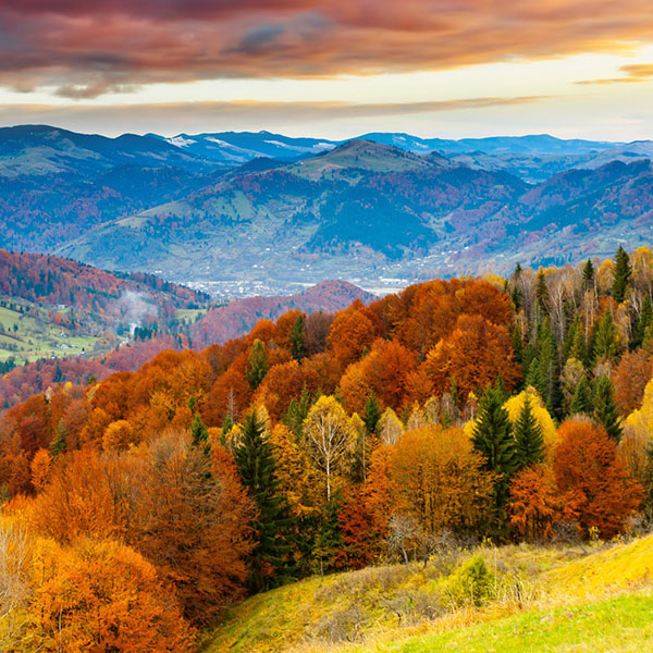 mountain-fun-red-orange-tree-nature-9-wallpaper