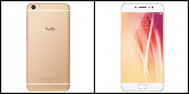 vivo