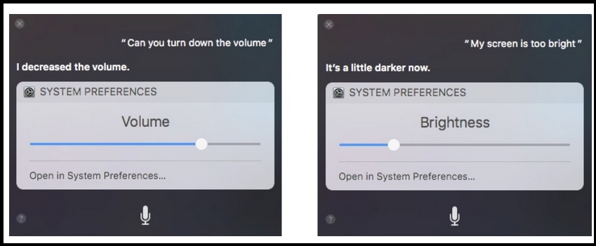 how-to-use-siri-on-mac-adjust-setting