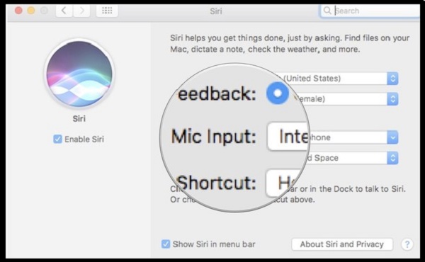 how-to-use-siri-on-mac-siri-feedback-1