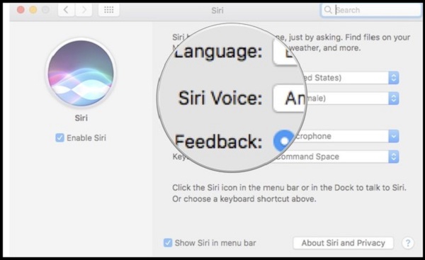 how-to-use-siri-on-mac-siri-siri-voice