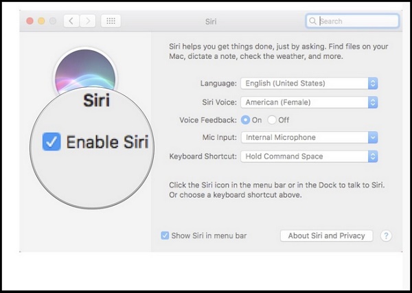 how-to-use-siri-on-mac-siri-enable-siri