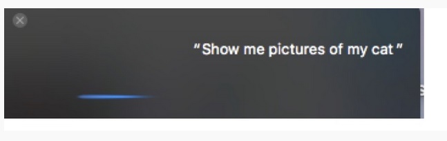 how-to-use-siri-on-mac-search-photos